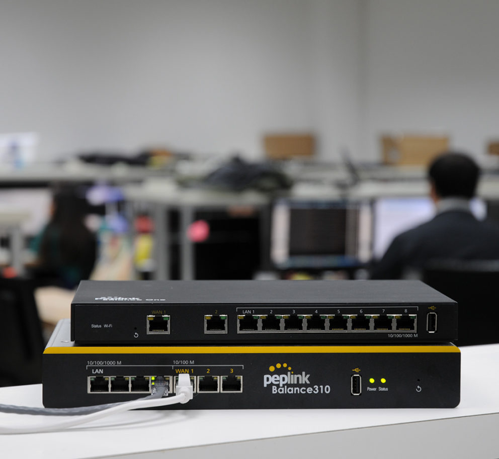 Package to Build SpeedFusion Networks - PrimeCare #4