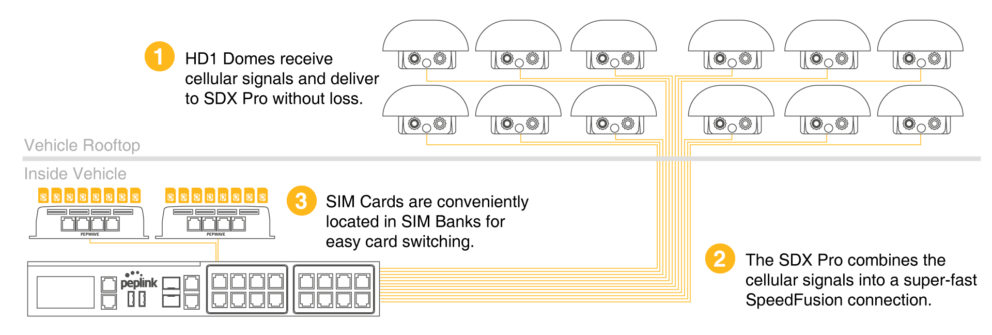 network diagram of mammography case study
