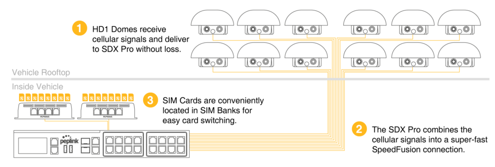 network diagram of mammography case study 