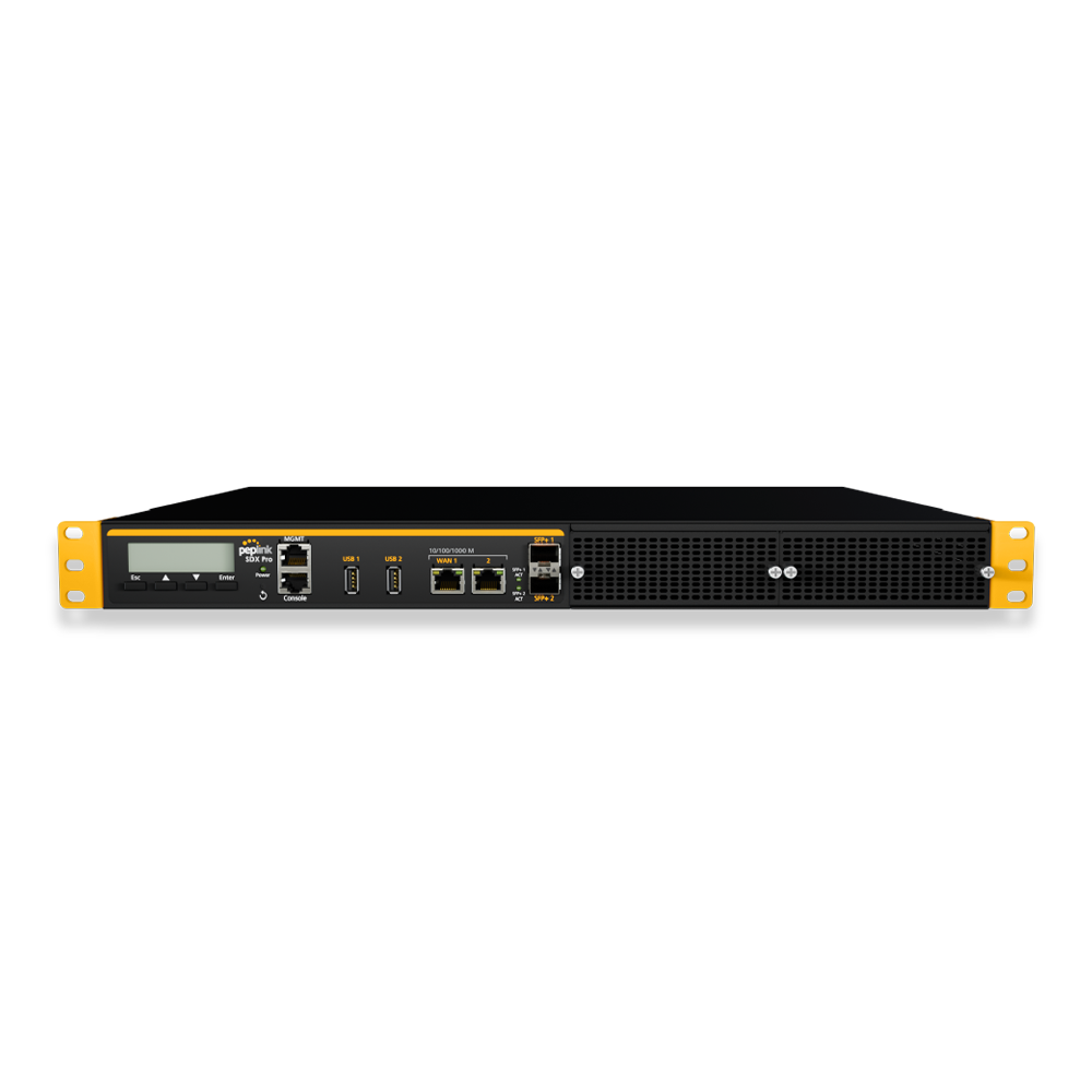 SDX