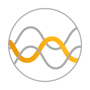 Icon SpeedFusion