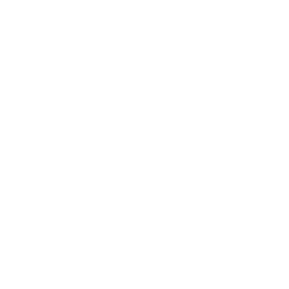 speedfusion_icon